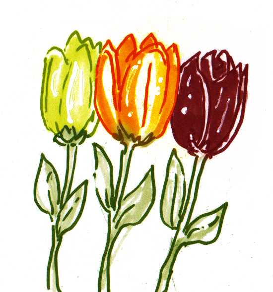 550x589 Spring Time Flowers, Tulips, Drawing, Pic, Sketch How To Draw