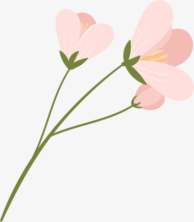 650x744 Hand Drawn Flowers Png Image For Free Download