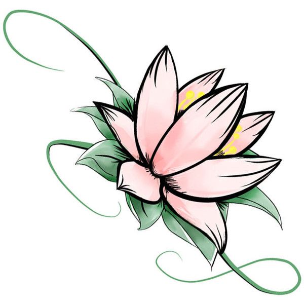 600x600 Best Flower Drawing Tumblr Ideas Tumblr Flower