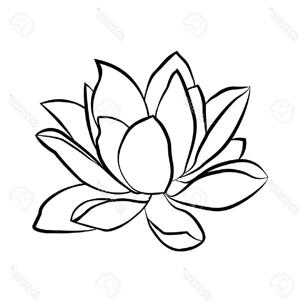1300x1300 Black Lotus Flowers Image Collections