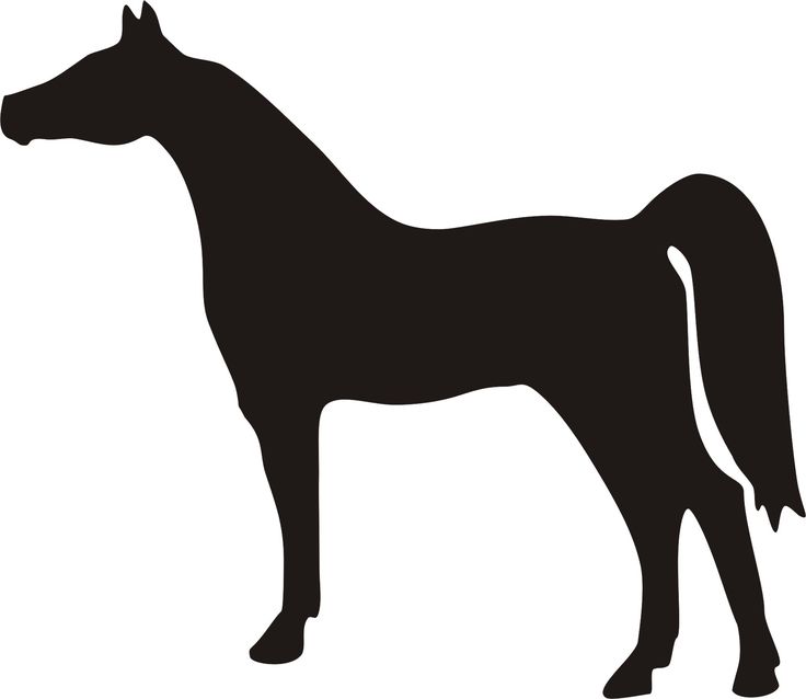 736x638 47 Best Horses Stencils Clipart Etc Images Search