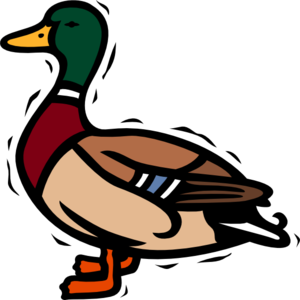 300x300 Shaking Duck Clip Art