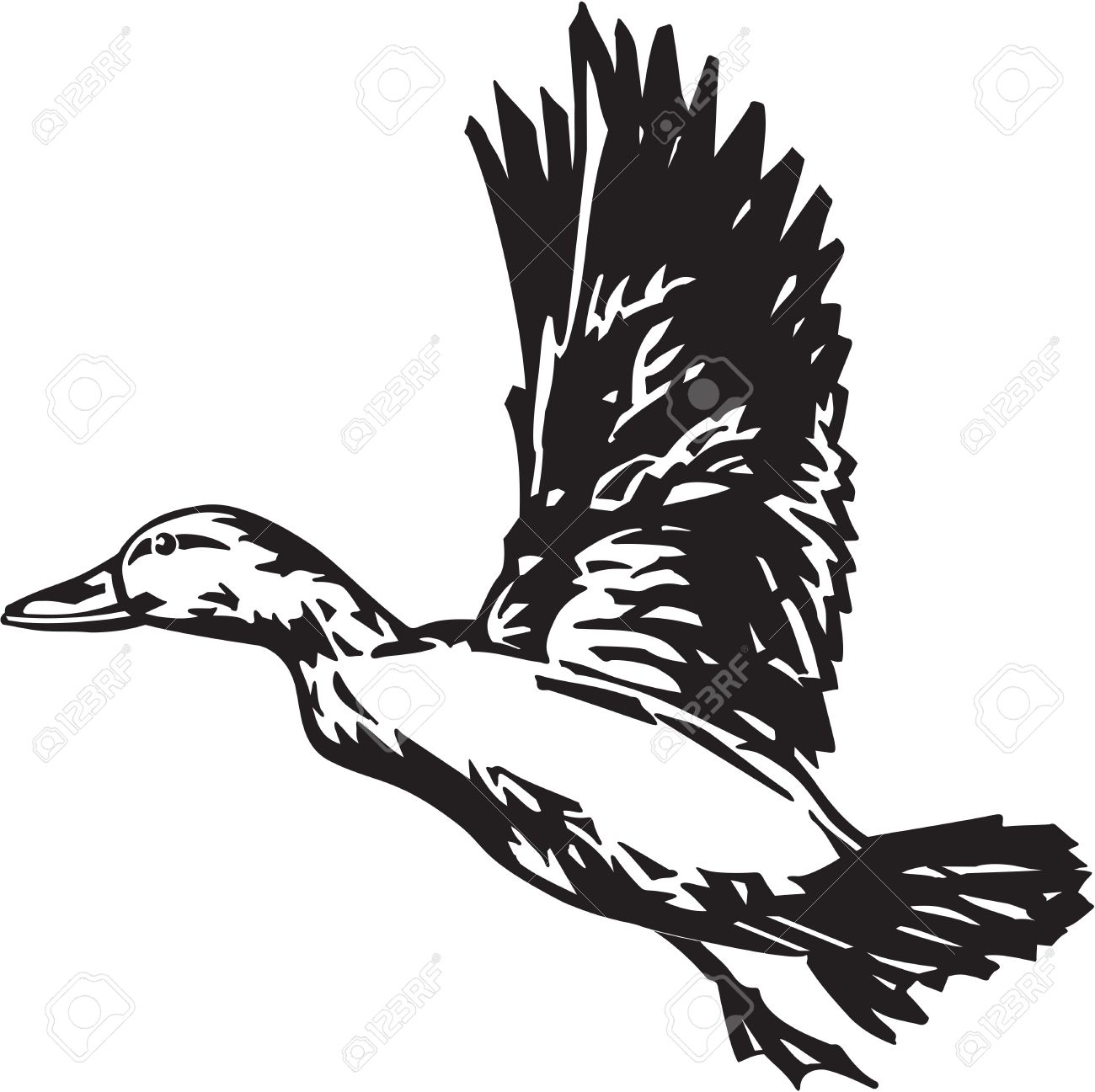 Duck Clipart Black And White