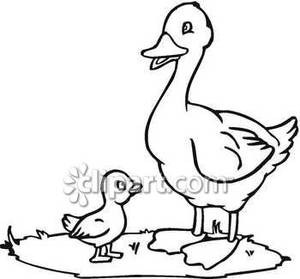 300x279 Bird Clipart Duck