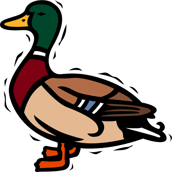 600x599 Shaking Duck Clip Art