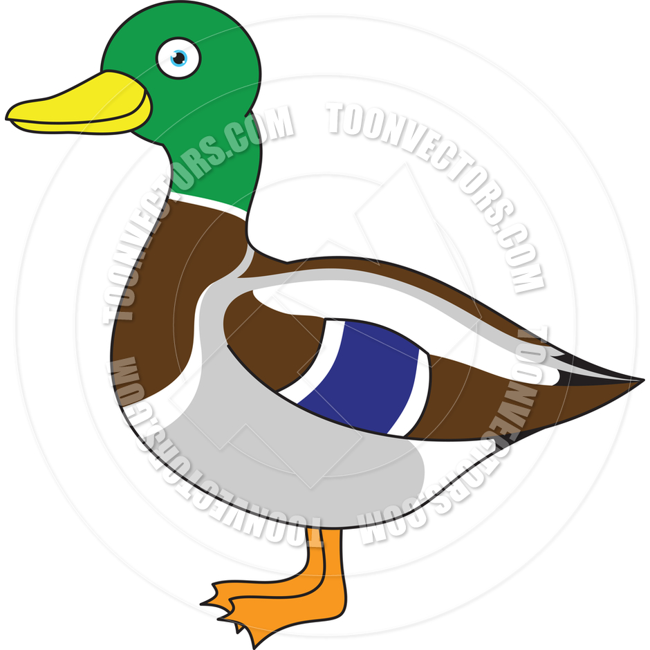 940x940 Top 90 Mallard Clip Art