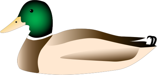 502x241 Duck Clipart High Resolution
