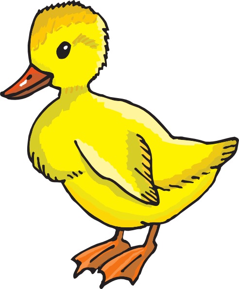 492x595 Yellow Duckling Clip Art