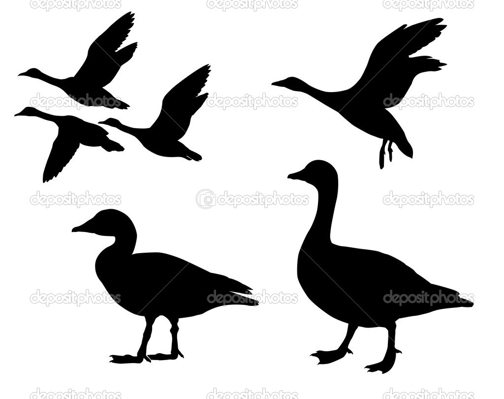 1024x810 Clip Art Duck Hunting Clip Art