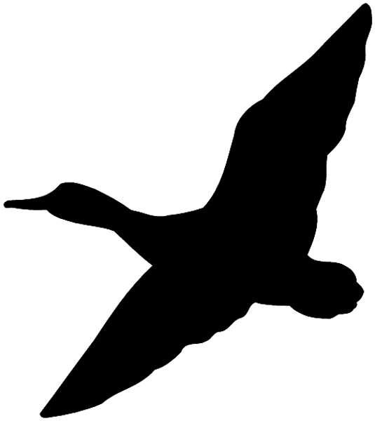 535x600 Hunting Clipart Waterfowl