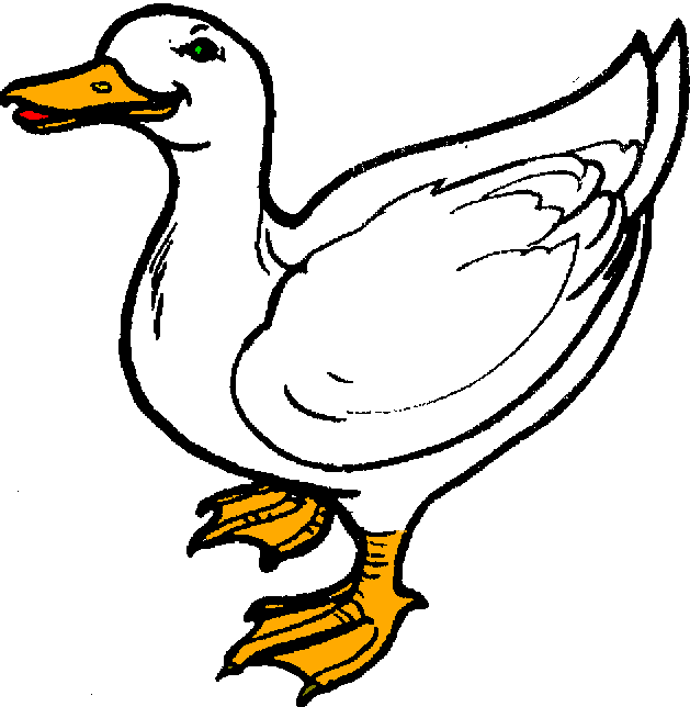 629x644 Duck Clipart
