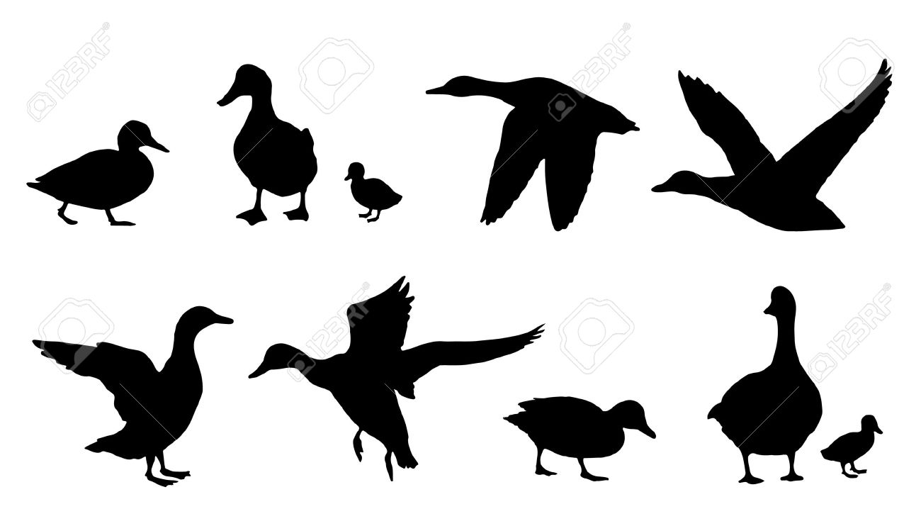 Duck Hunting Silhouette | Free download on ClipArtMag