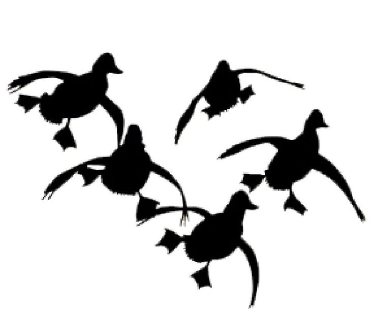 Duck Hunting Silhouette | Free download on ClipArtMag