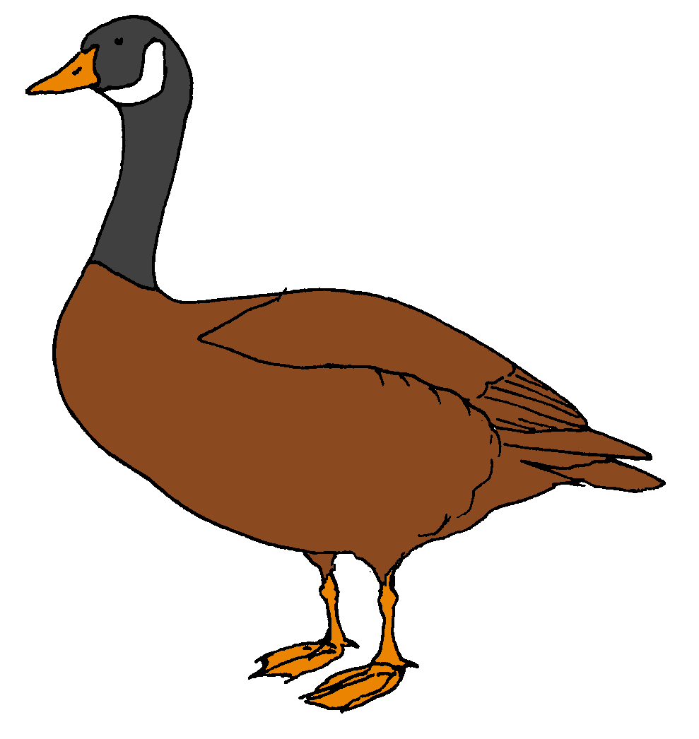 989x1046 Duck Clipart Waterfowl