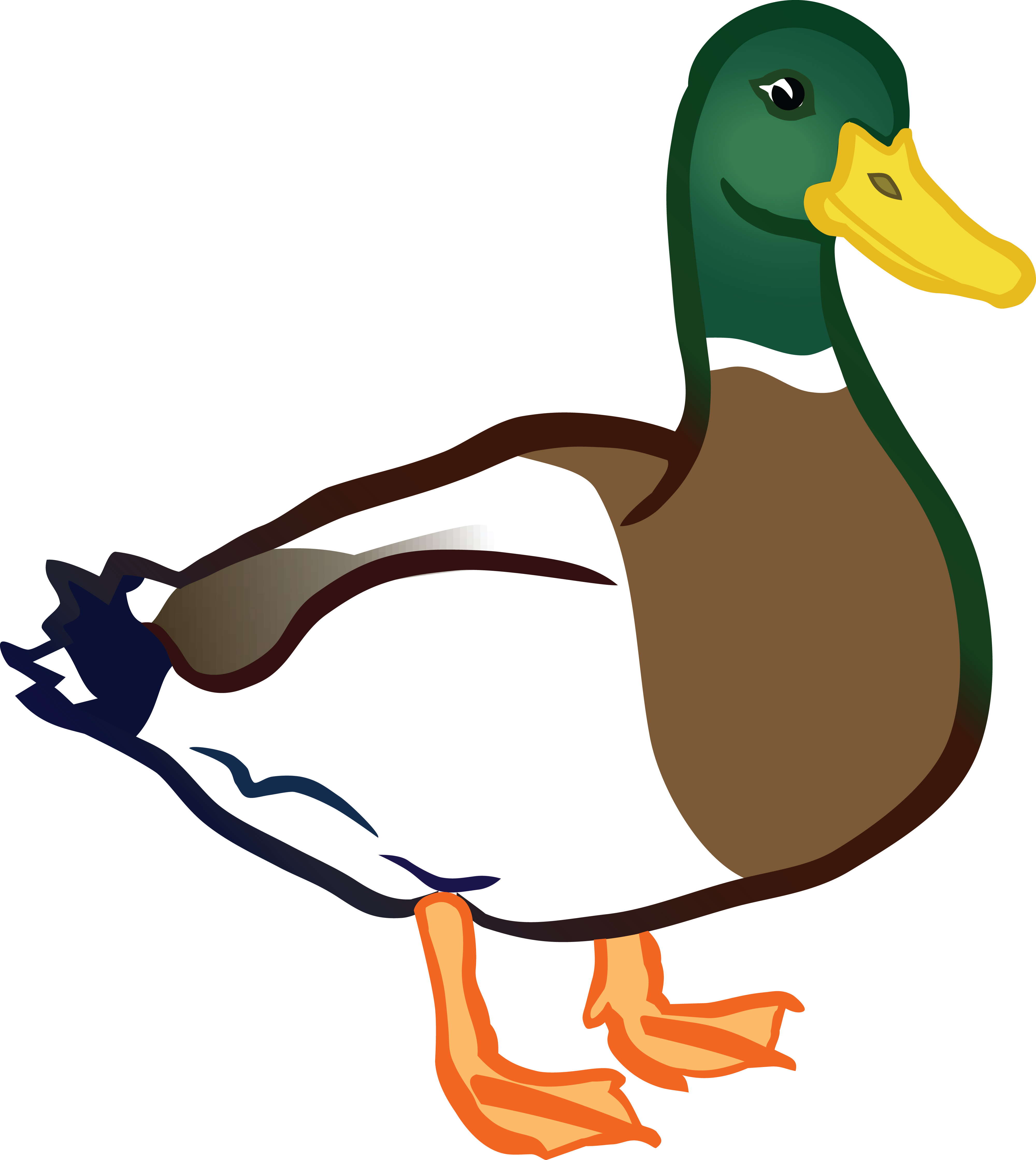 4000x4479 Clipart Of A Duck, Mallard Drake