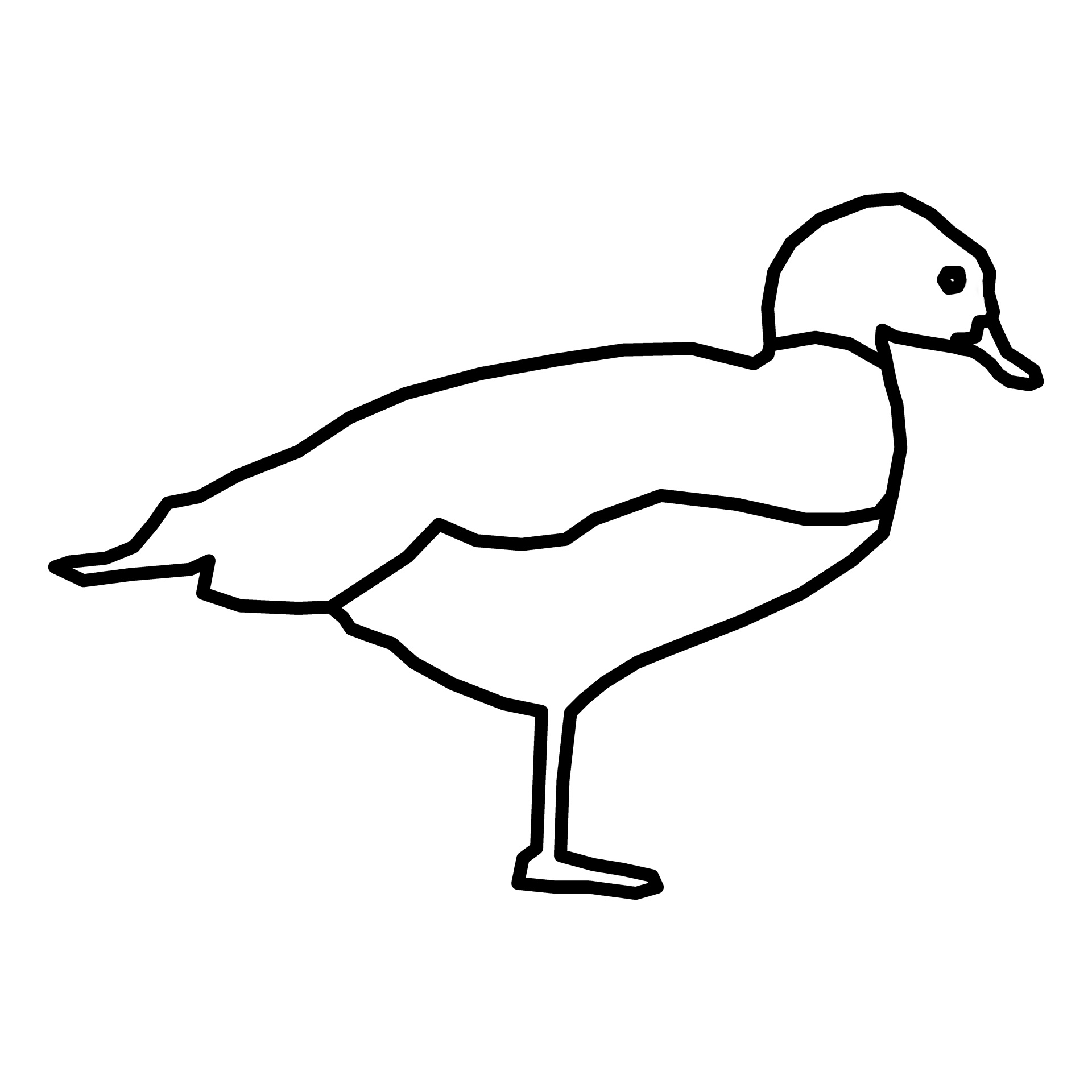 1920x1920 Duck Outline Free Stock Photo