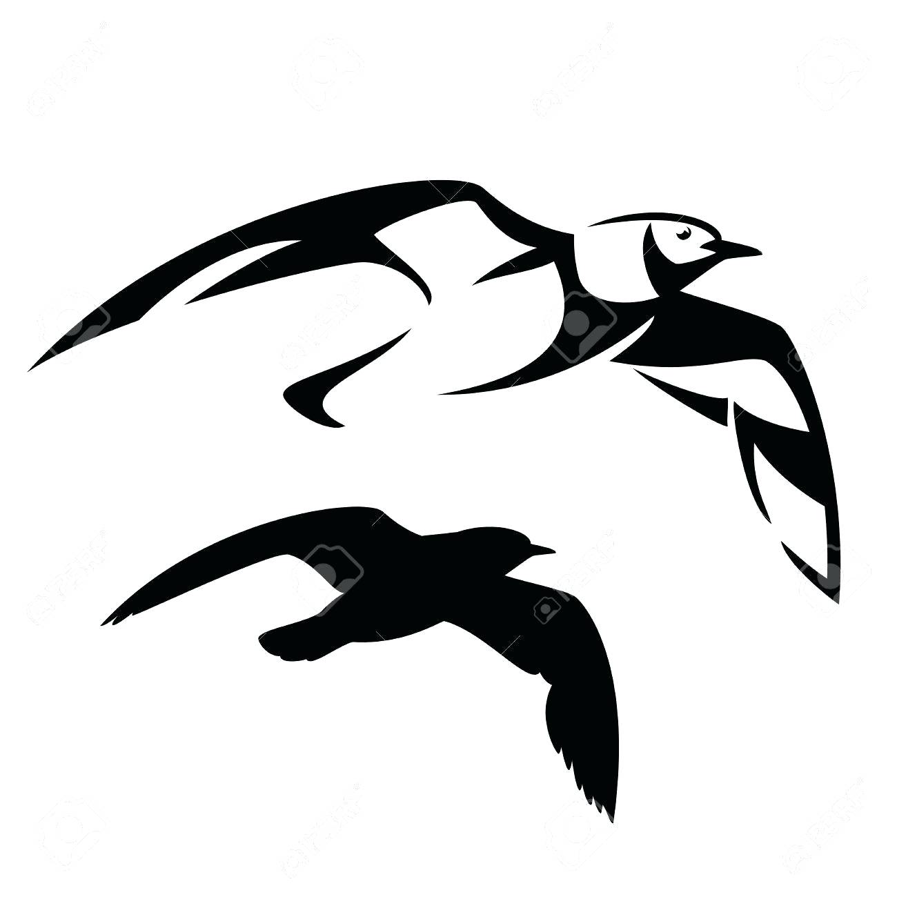 1300x1300 Best Eagle Head Outline Vector File Free 13 Surprising Duck
