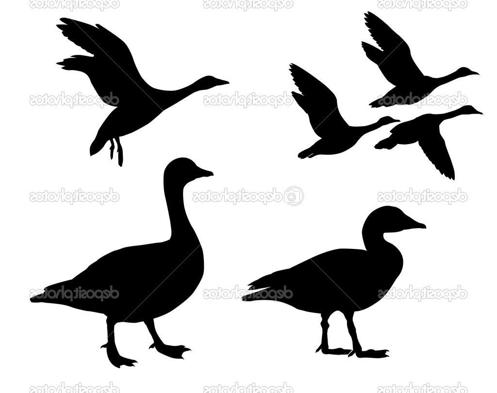 1024x810 Best Flying Duck Silhouette Vector Geese On White Background Library