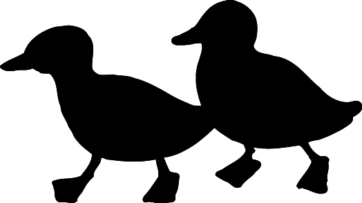 524x294 Shaow Clipart Duck