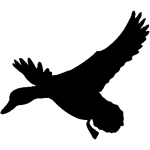 300x300 Silhouette Duck Landing Decal St2010b