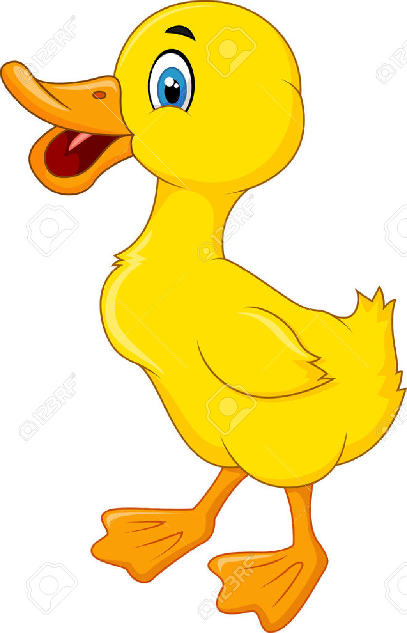 836x1300 Duckling Clipart Pato