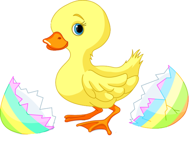 639x486 Chick Clipart Duckling