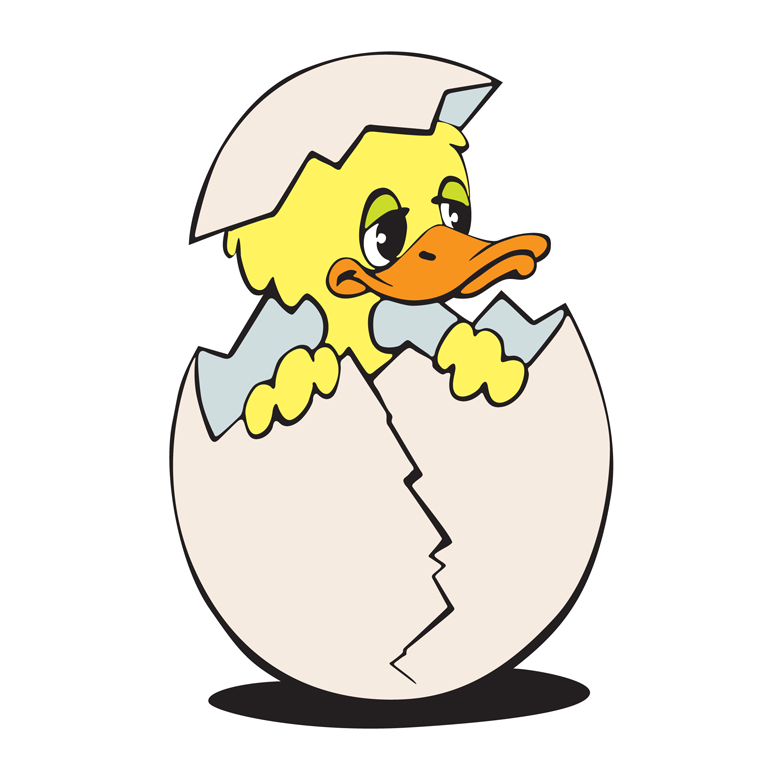 777x777 Duck Hatching Clipart