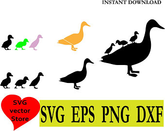 340x270 Mallard Duck Baby Etsy