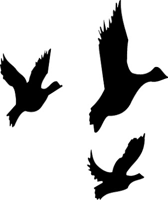 337x400 Flying Mallard Duck Silhouette Nvsi