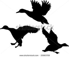 236x194 Free Stock Photo Illusted Silhouette Of Ducks Flyingvector