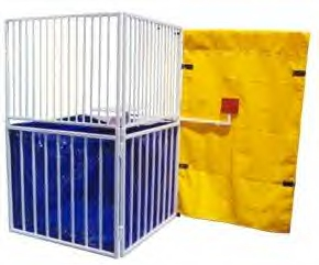 290x241 Fort Worth Dunk Tank Rental