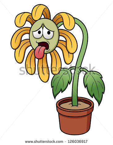 366x470 Plant Clipart Died