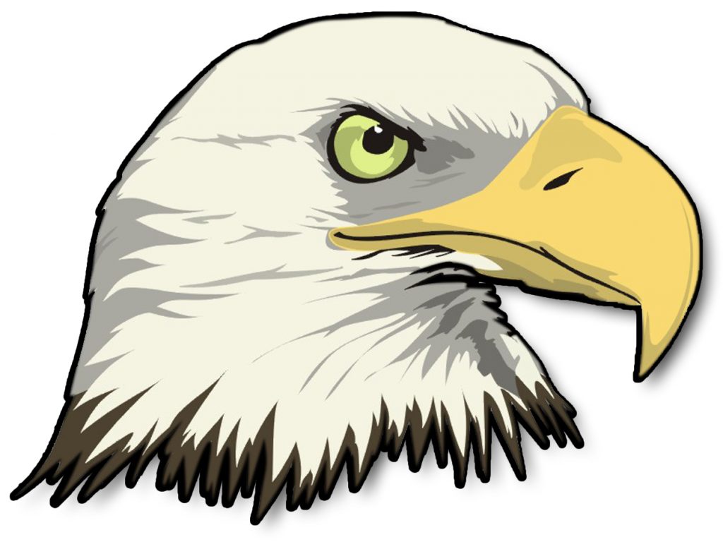 1024x768 Pleasurable Inspiration Bald Eagle Clip Art Top 88 Clipart Free