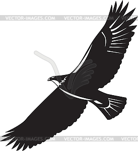 274x300 Eagle Black And White Clipart