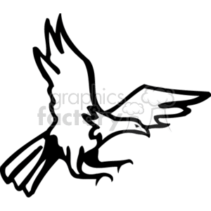 300x300 Royalty Free Black And White Bald Eagle Swooping Down, Hunting