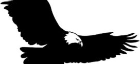 272x125 Soaring Eagle Clipart Black And White Clipart Panda