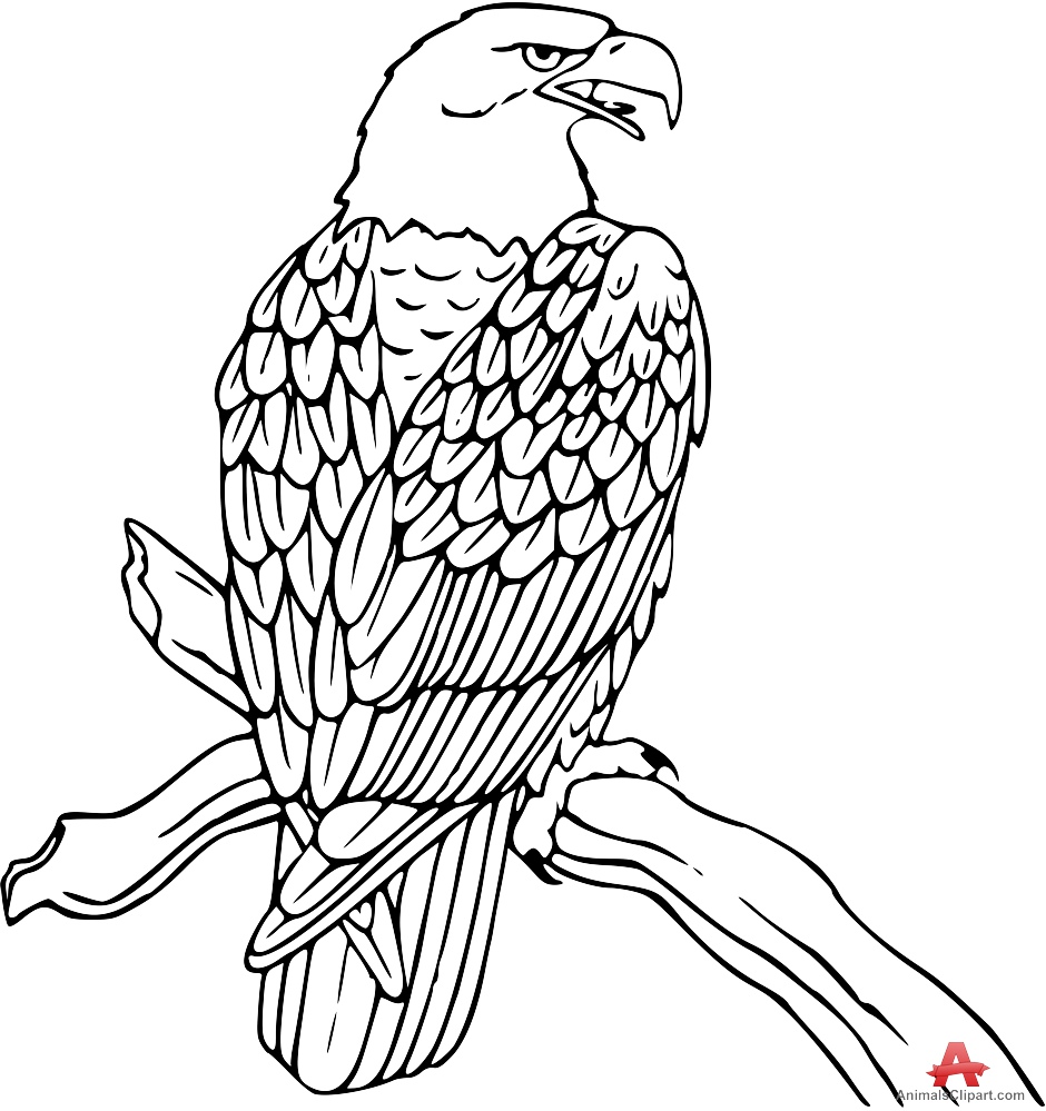 940x999 Bald Eagle Clipart Black And White