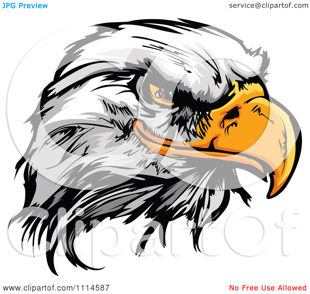 1080x1024 Bald Eagle Clip Art