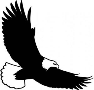 300x289 Chic Design Eagle Clipart Black And White Bald Cartoon Feather