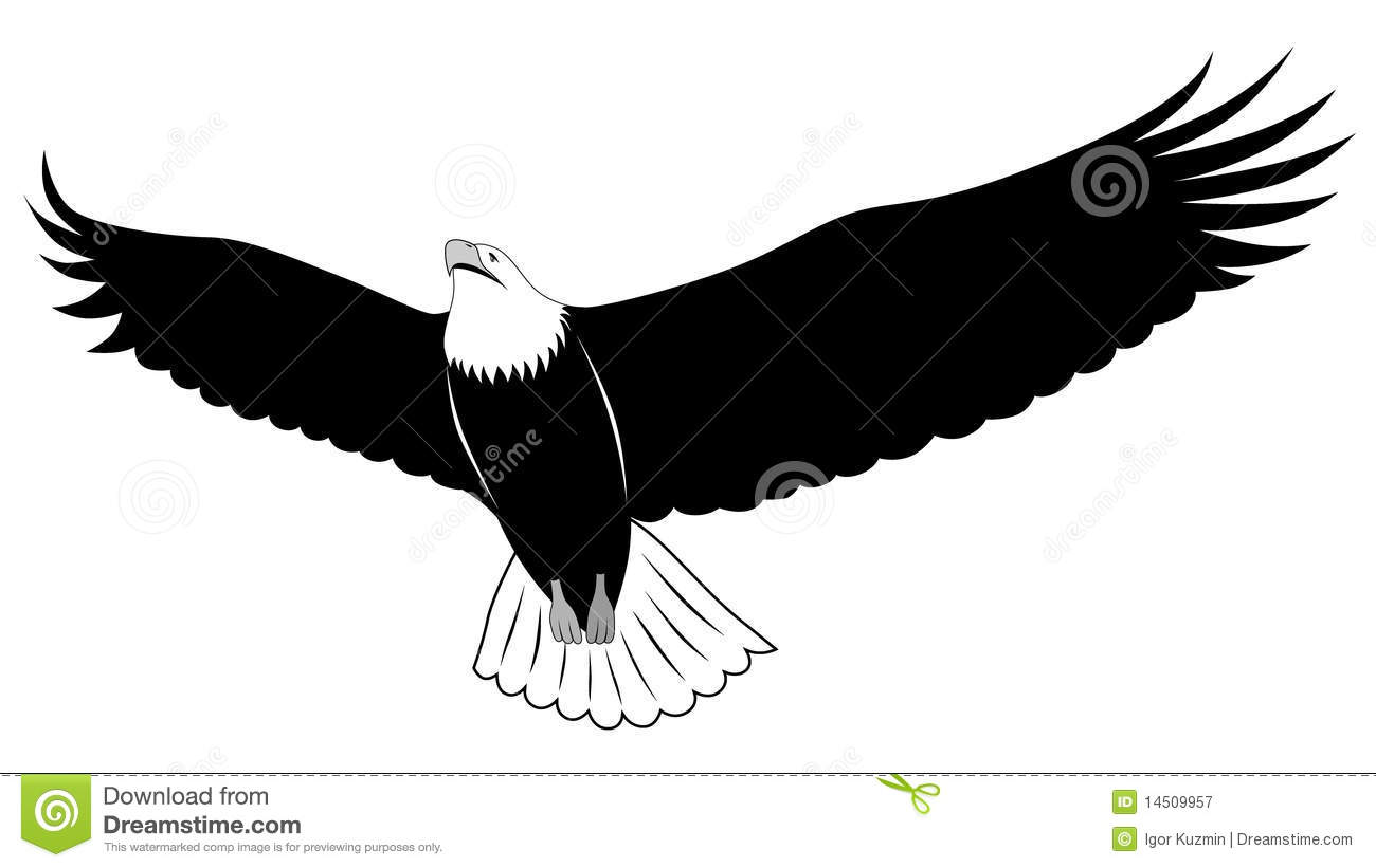 1300x821 Clip Art Eagle Feather Clip Art