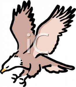 262x300 Flying Bald Eagle Clipart Image