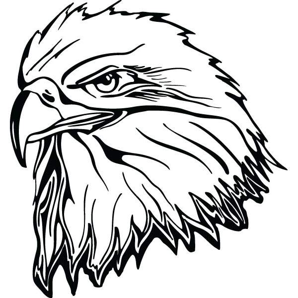 Eagle Head Clipart | Free download on ClipArtMag