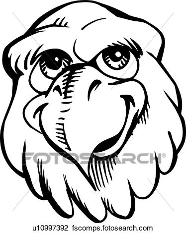 374x470 Clipart Of Casual Eagle Head U10997392