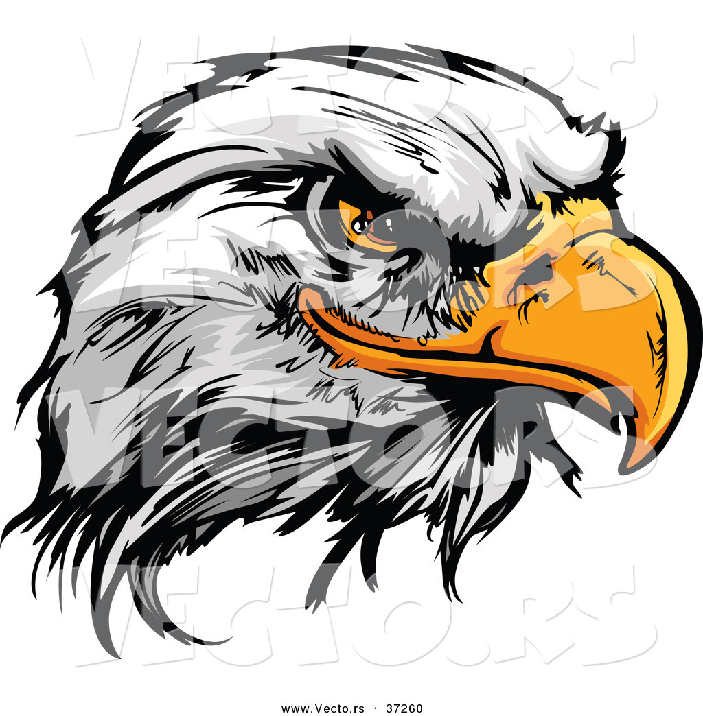 1024x1044 Eagle Head Stock Clip Art