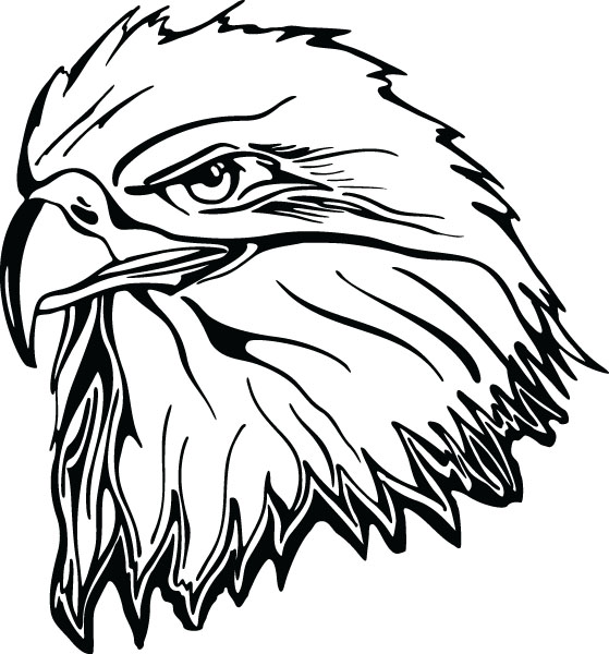 559x600 Eagle Head Clipart Black And White