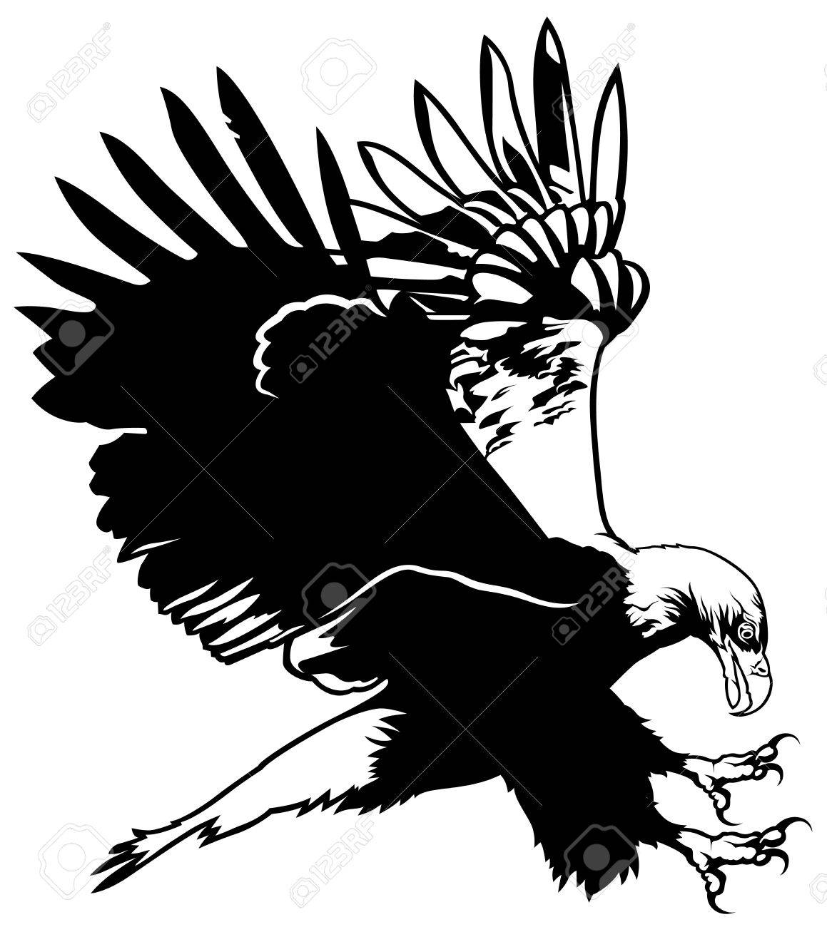 1159x1300 Flying Eagle Outline Clipart China Integer Programming