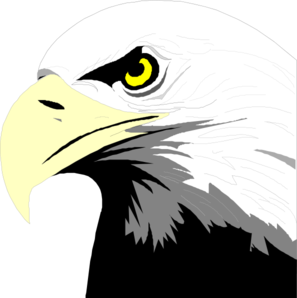 297x298 Bald Eagle Head Clip Art