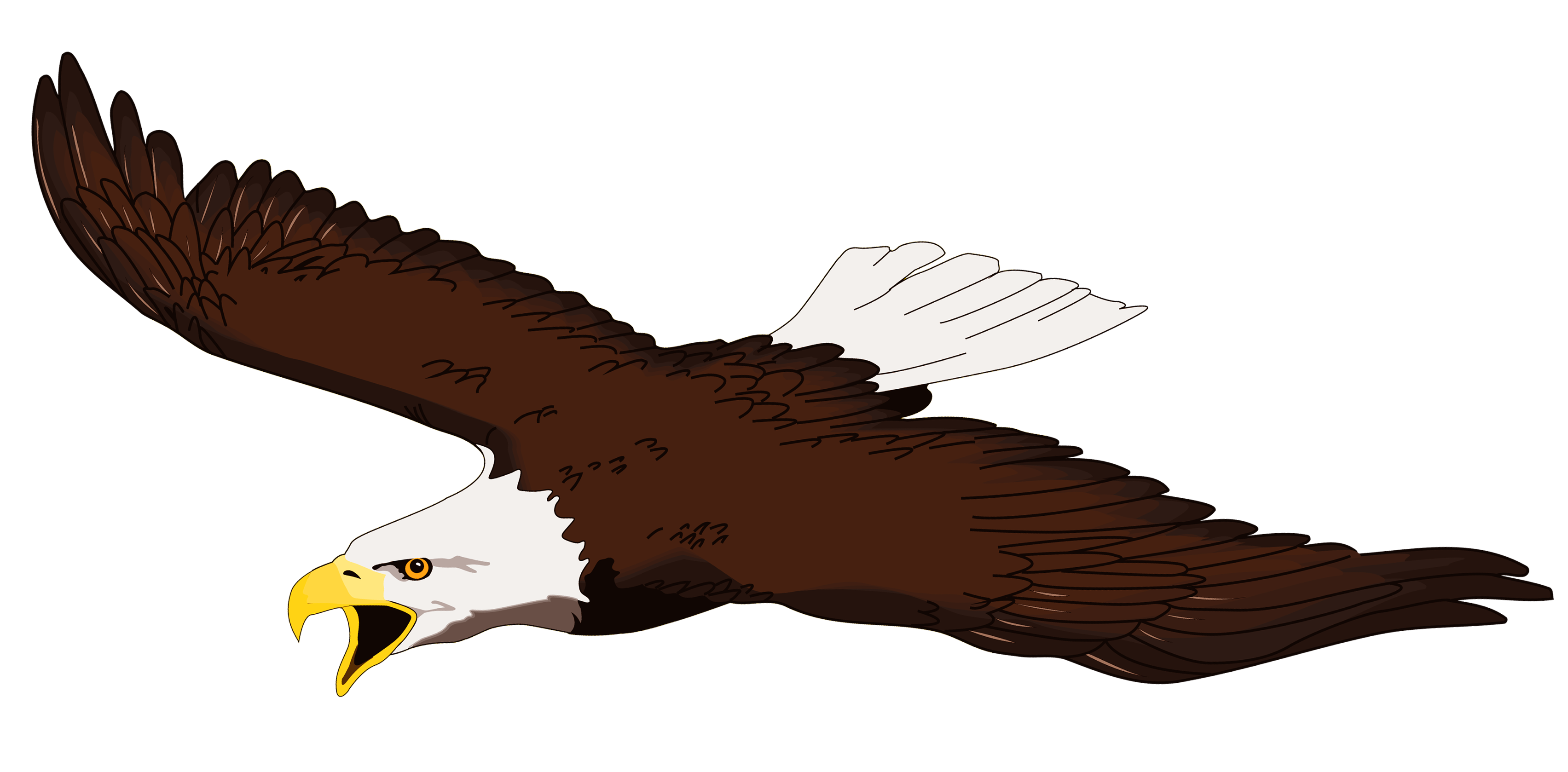 3407x1678 Best Eagle Clipart