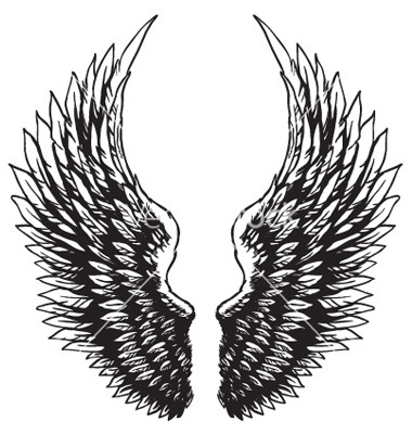 380x400 Wings Clipart Hawk Wing