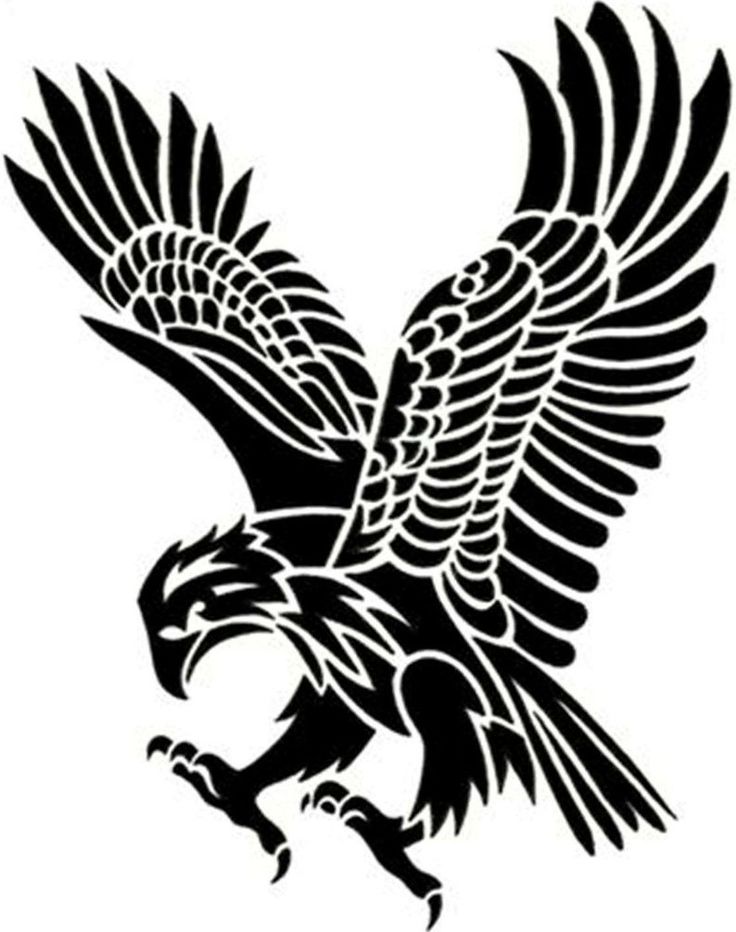 736x932 41 Best American Eagle Cartoon Art Tattoo Images
